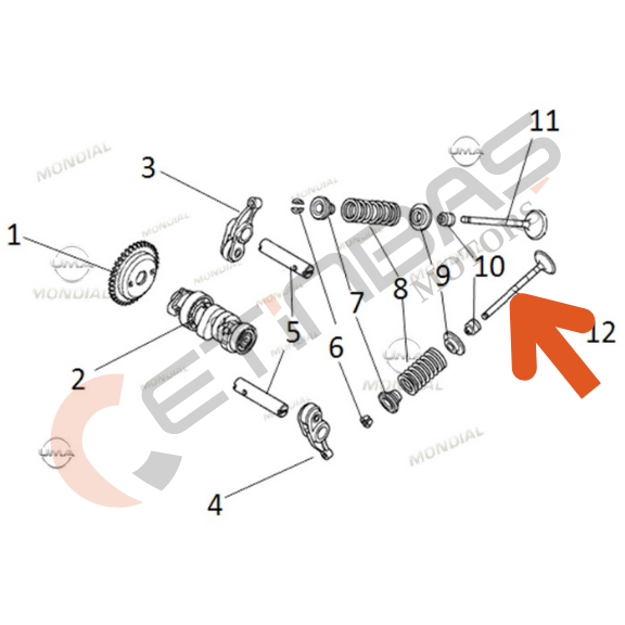 Mondial Strada Emme Supabı