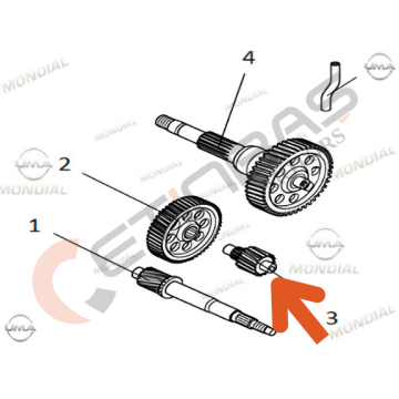 Mondial Strada Ara Dişli Mili