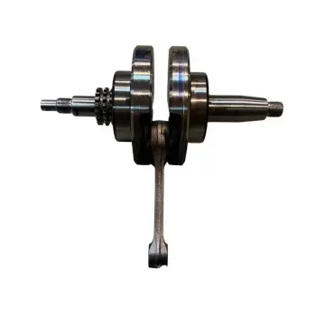 TVS Raider 125 Krank Komple