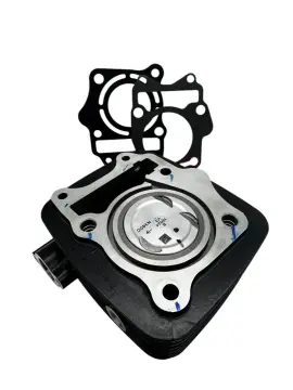 TVS Raider 125 Silindir Komple