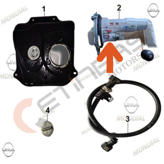 Mondial Exon 50 Benzin Pompası