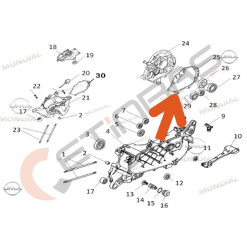 Mondial Roadboy Aktarma Kapak Contası