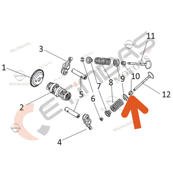 Mondial Roadboy Supab Keçesi