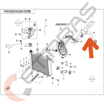 CF Moto 450SR Radyatör Su Borusu Alt